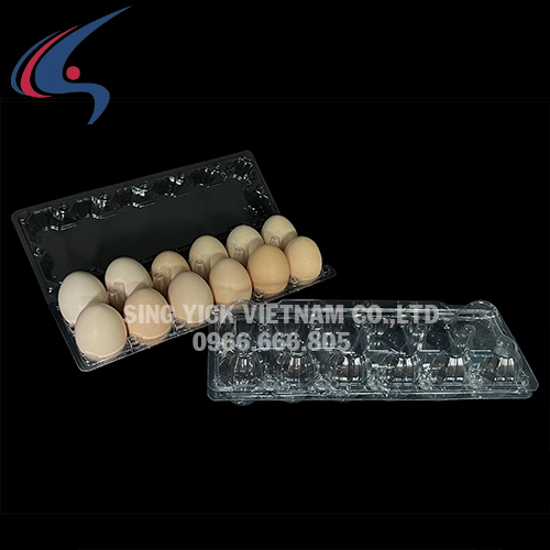 Hộp nhựa 12 trứng